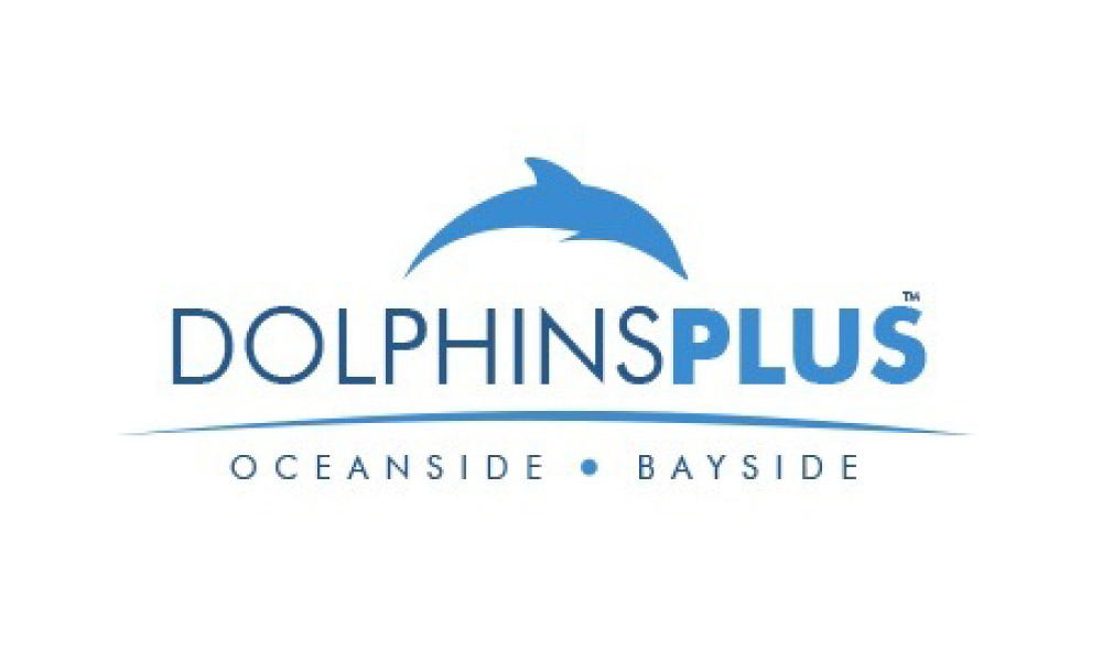 Dolphins Plus