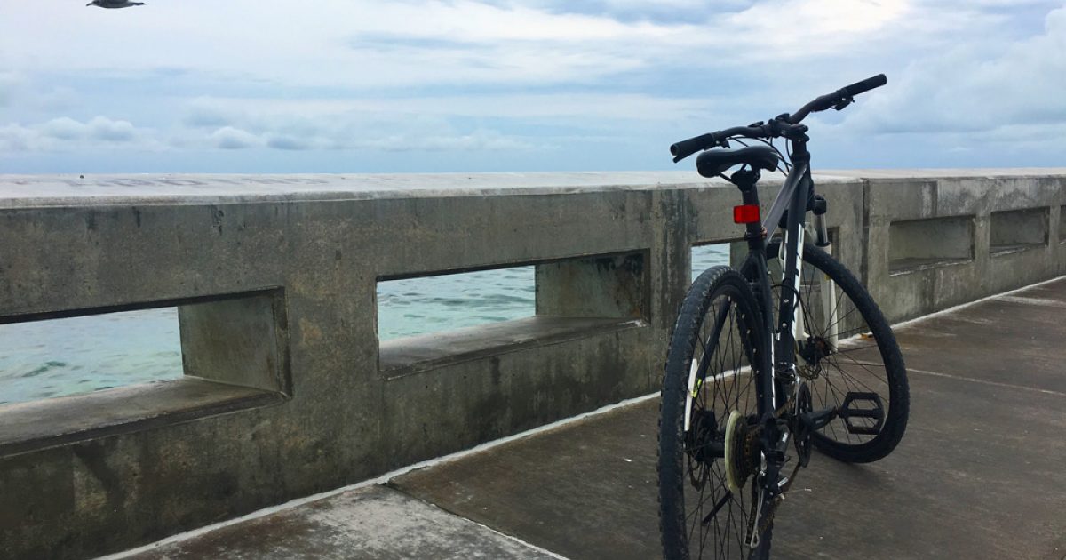 Lloyd's Tropical Bike Tour in Key West Tiny Shiny Home