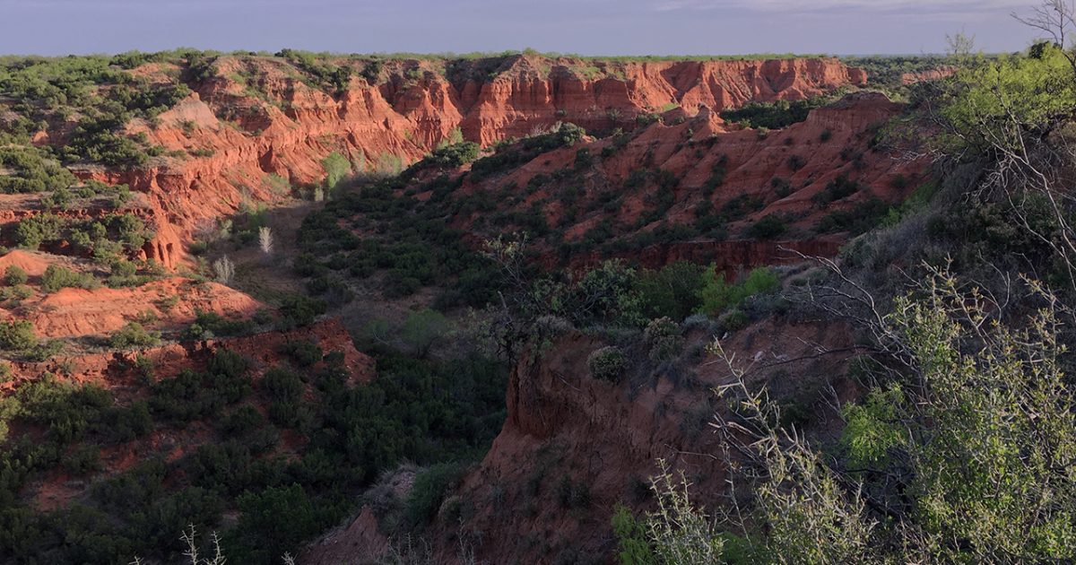 are dogs allowed at caprock canyon state park