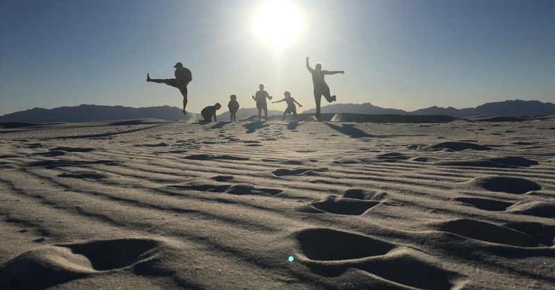 Oliver Lee State Park/White Sands National Monument - Tiny Shiny Home