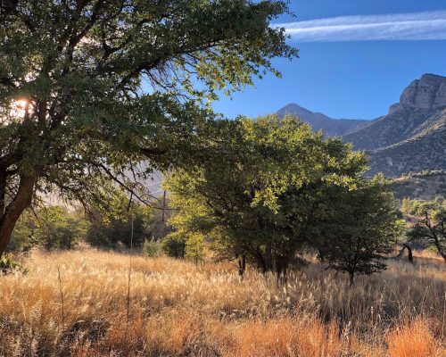 Miller Canyon Rec Area
