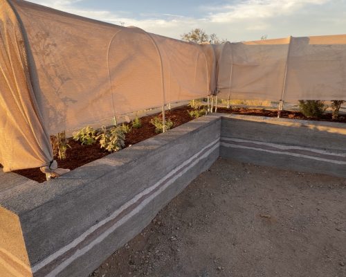Lavacrete Garden Beds