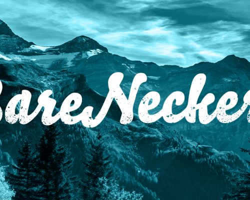 Bareneckers Blog