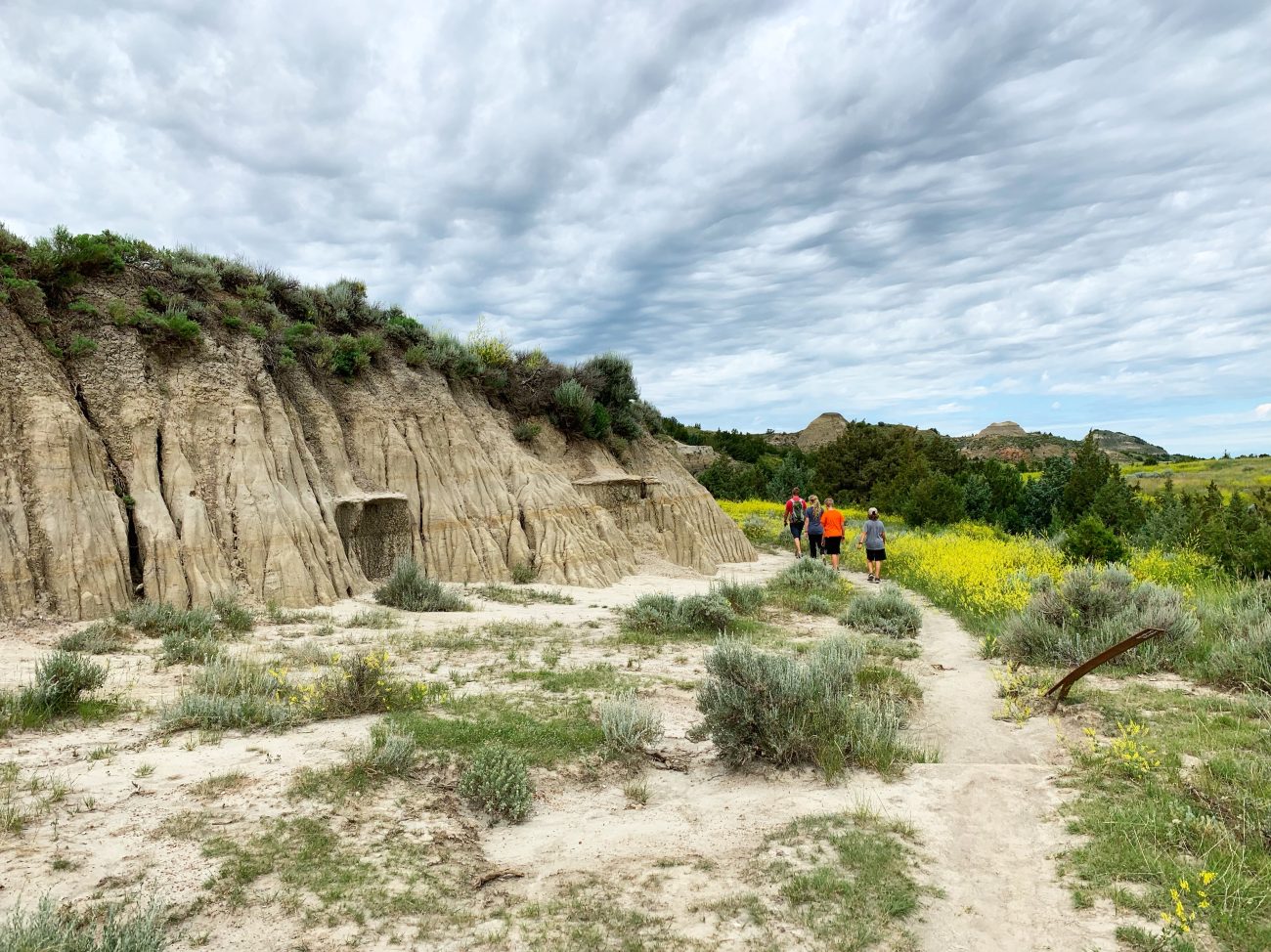 Theodore Roosevelt National Park