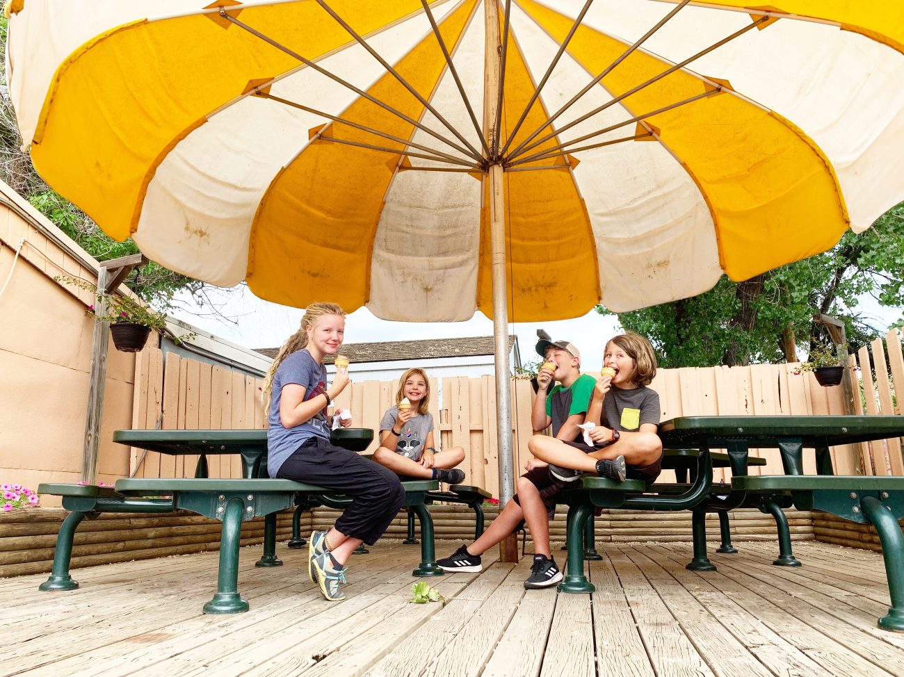 Medora Icecream