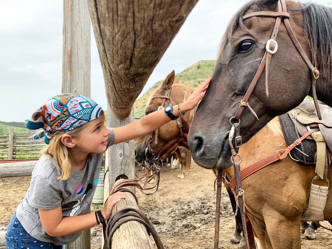 Medora Riding Stables