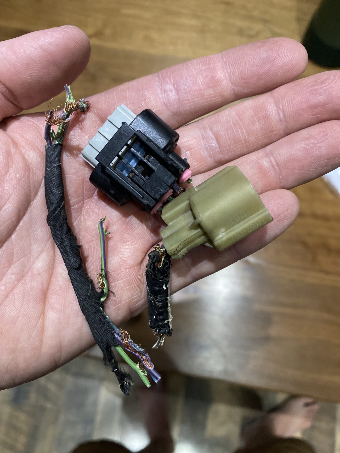 Packrat Damages our Truck