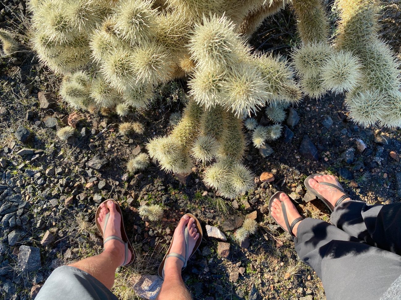 Earth Runners Sandals
