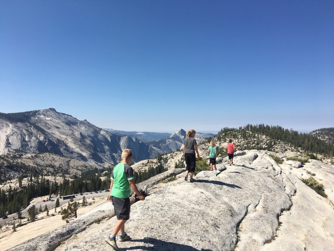 olmstead point2