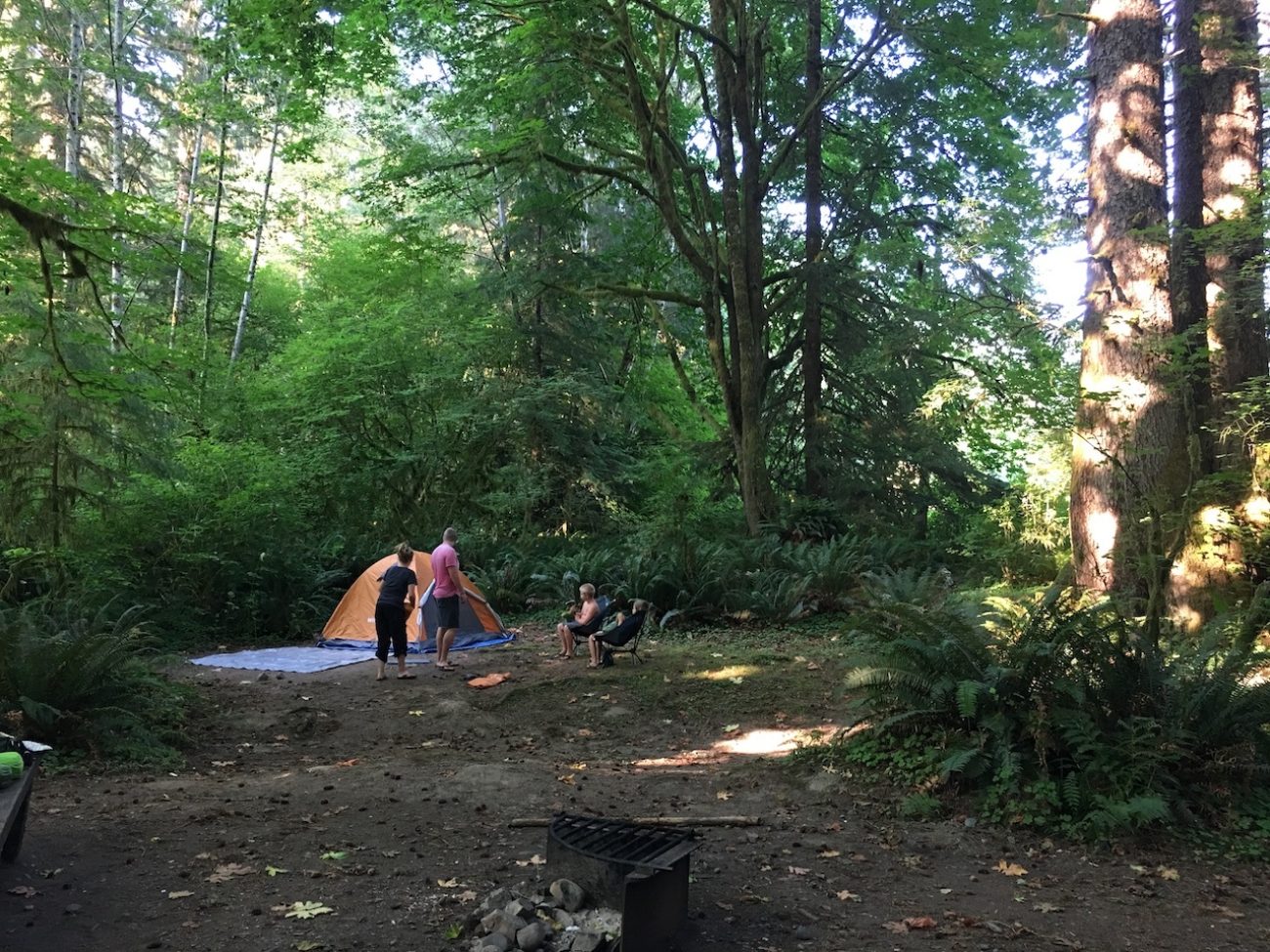 Winterial tents in Hoh Rainforest