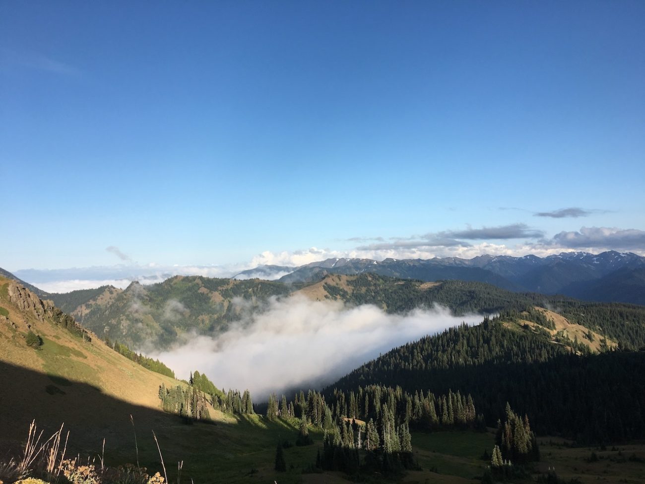 hurricane ridge 2