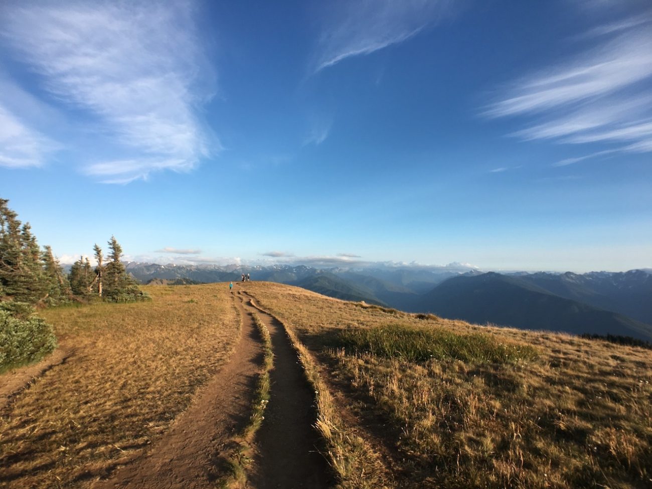 hurricane ridge 4