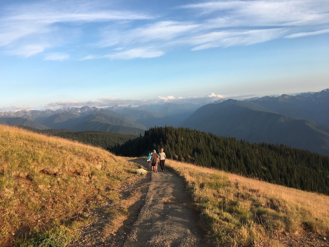 hurricane ridge 3