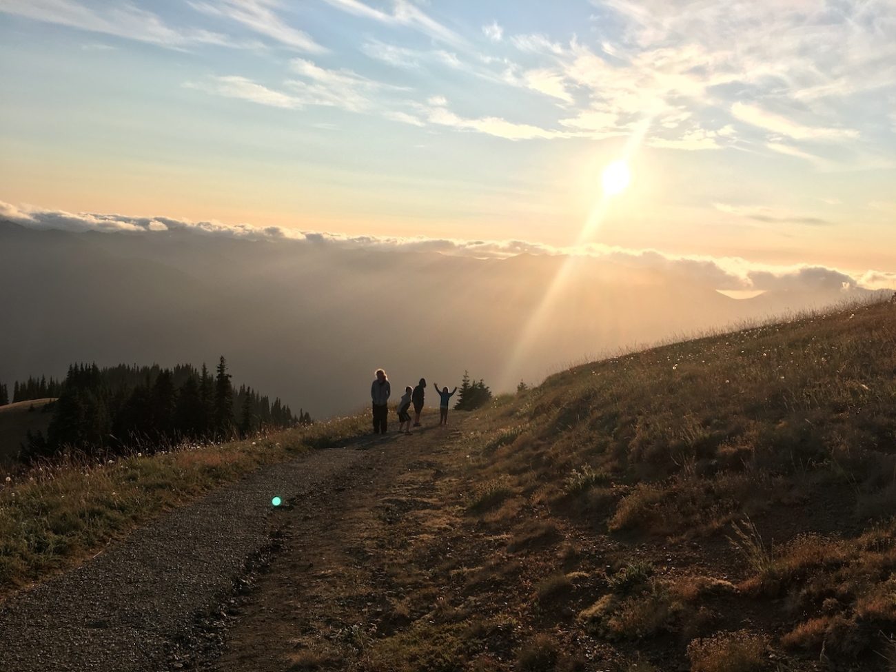 hurricane ridge 5