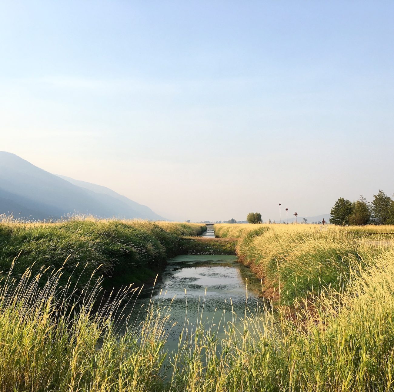 kootenai