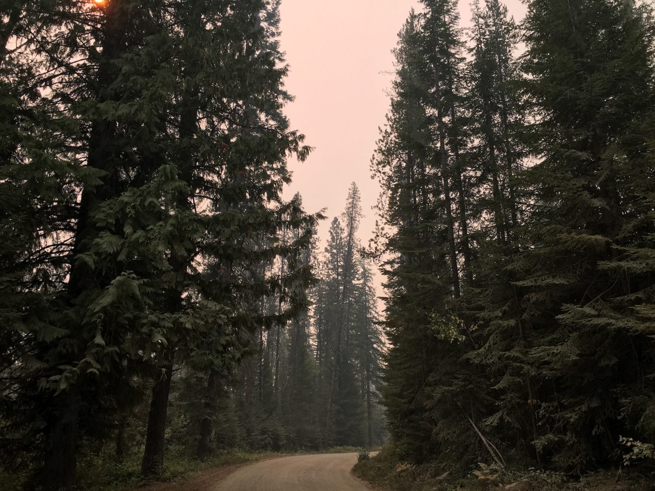 smoke in bonners