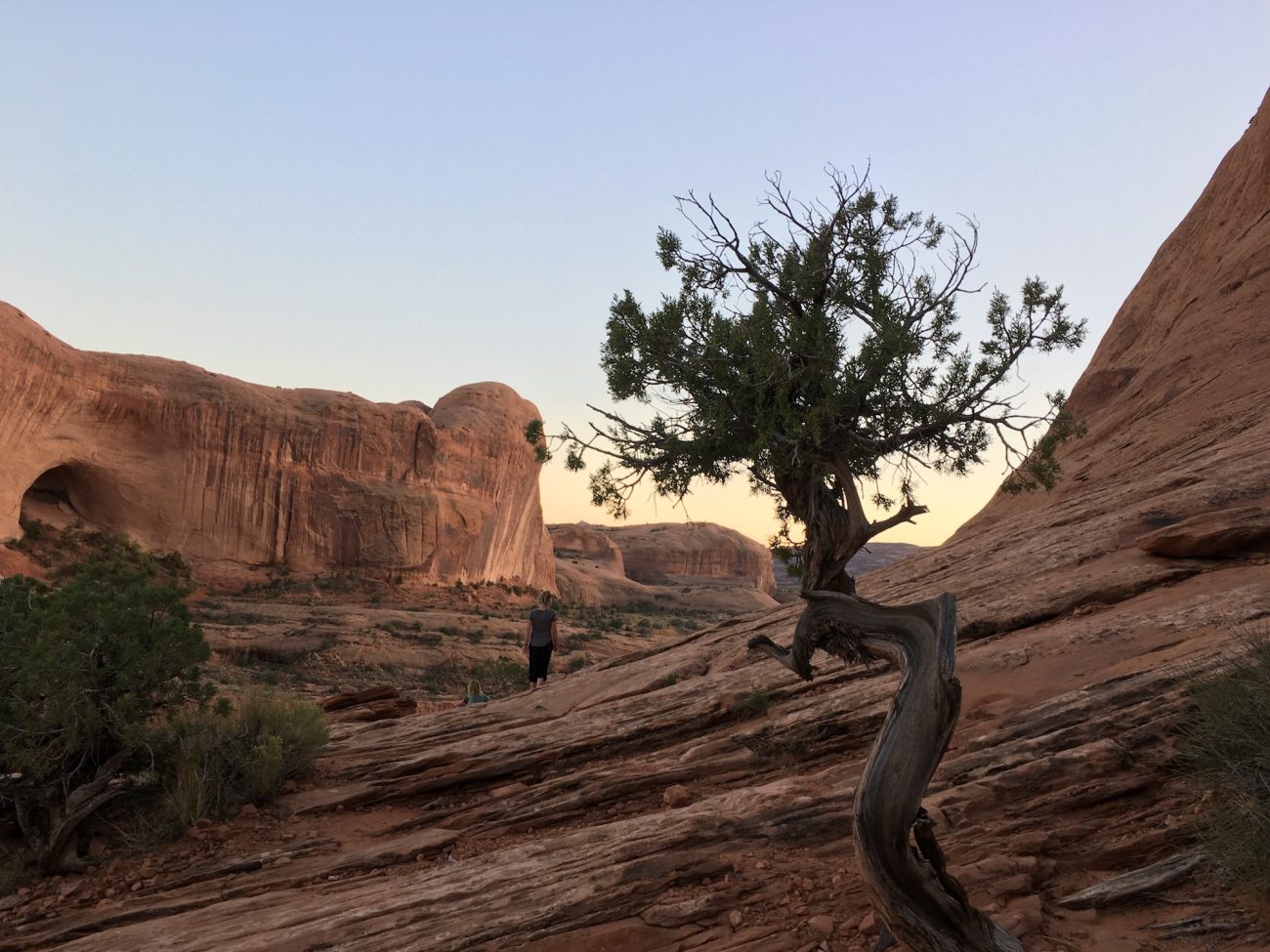 corona arch