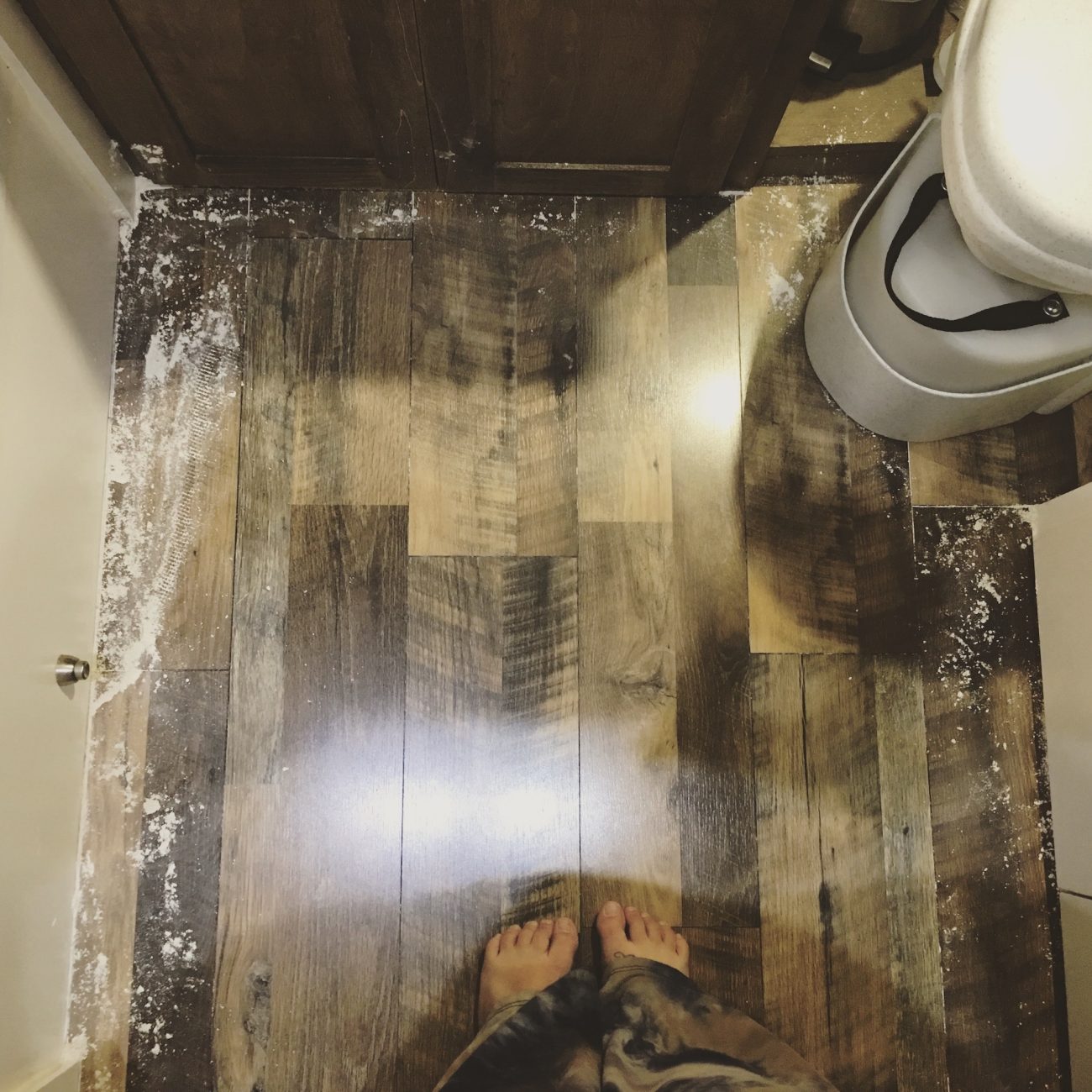 ants in the bathroom