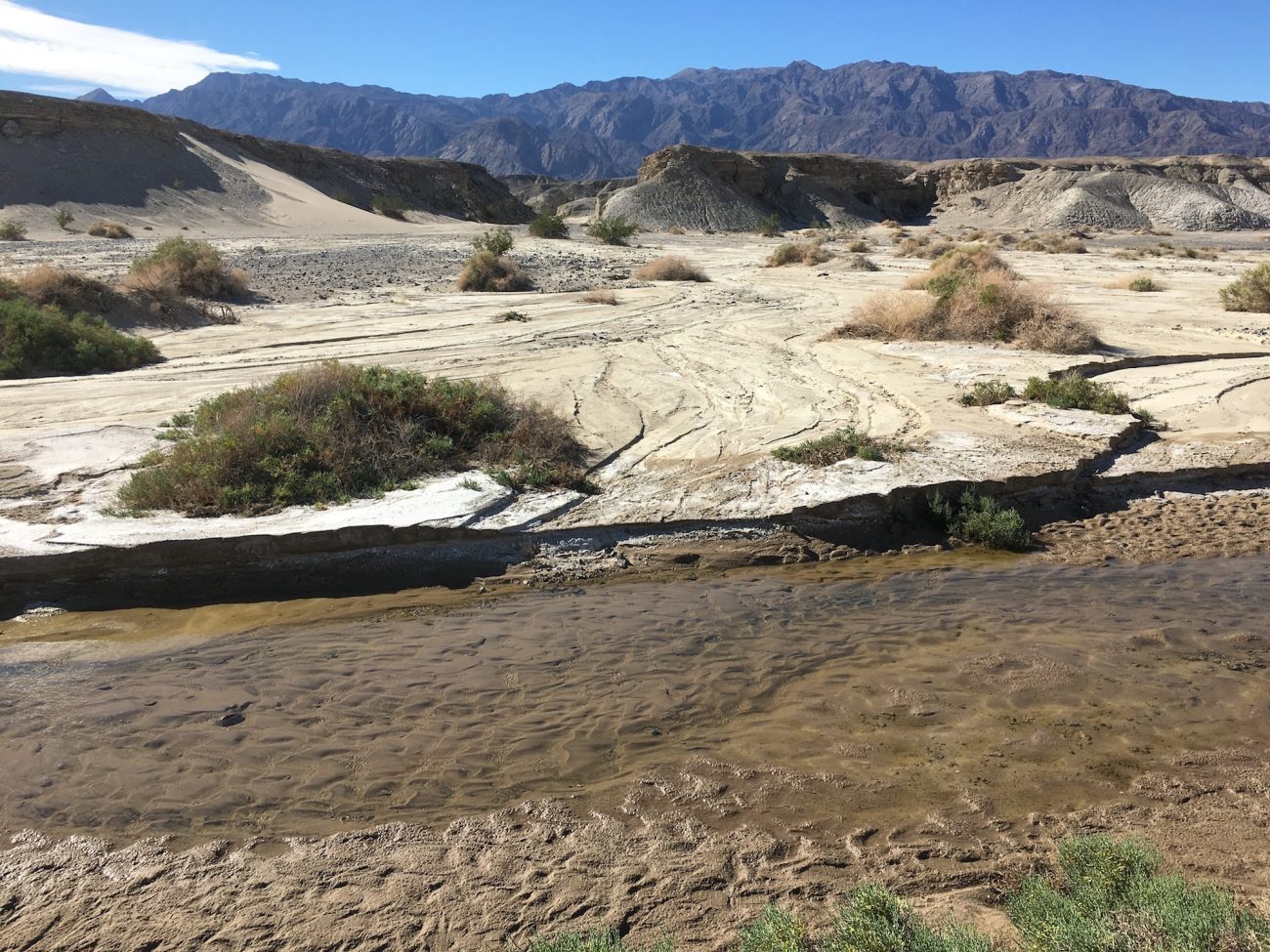 salt creek