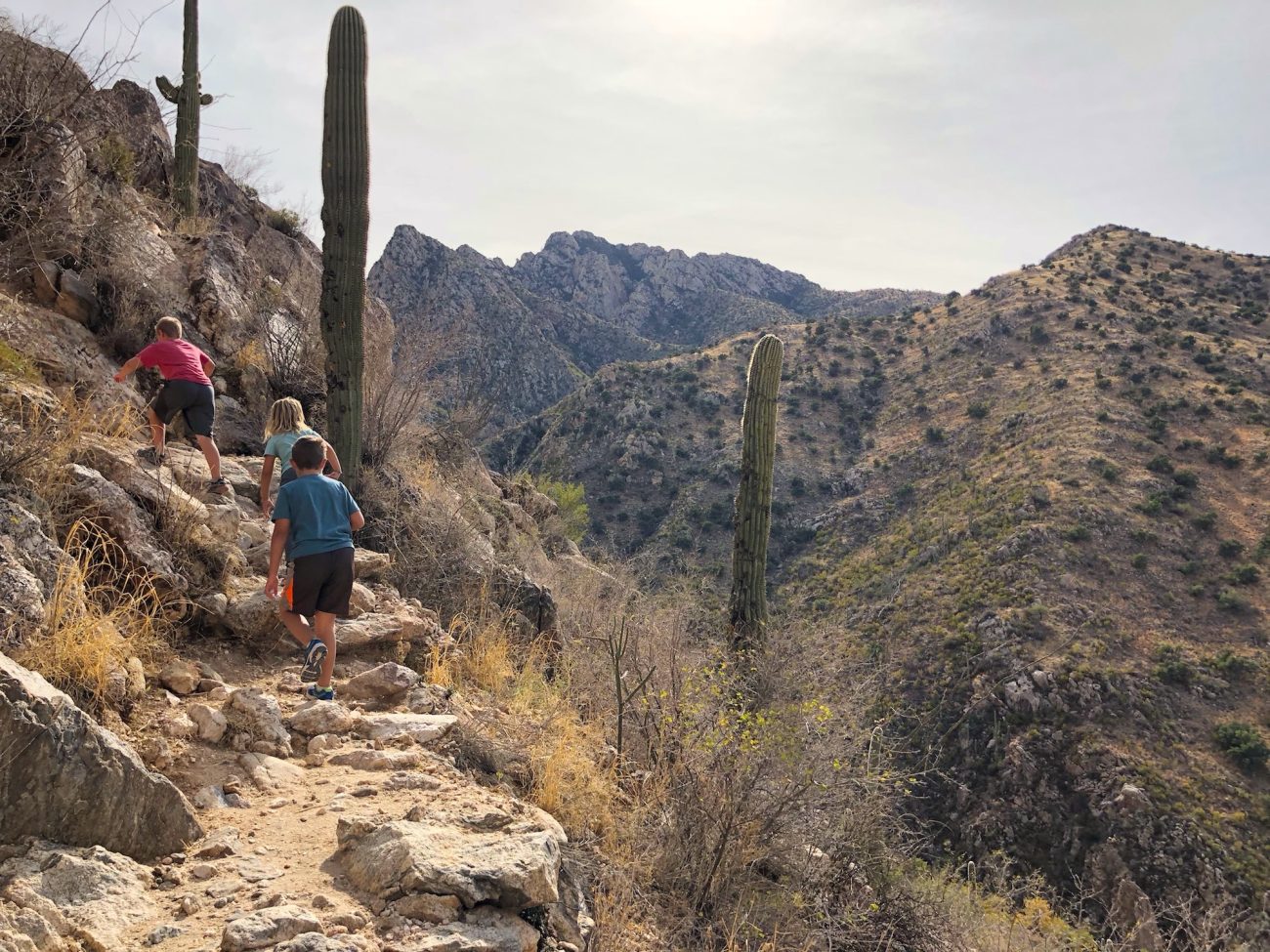 Hiking at Catalina State Park
