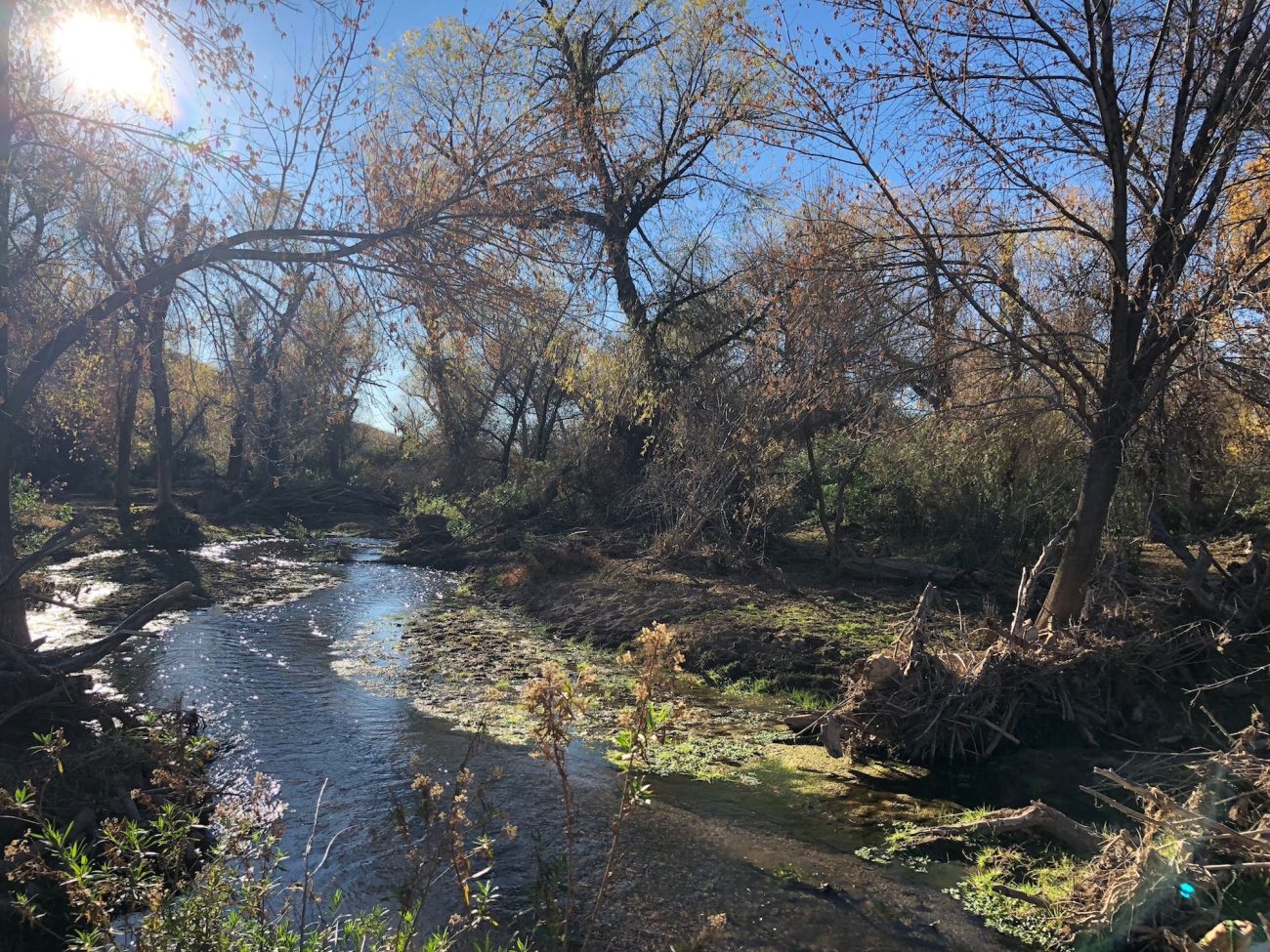 Patagonia Lake State Park Creek
