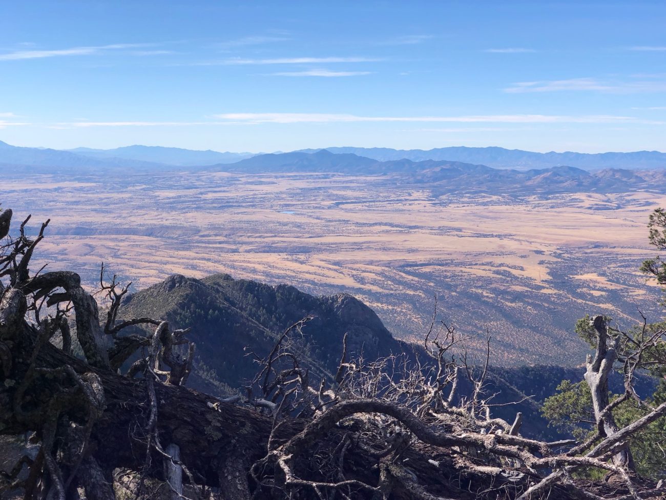 Top of Miller Peak