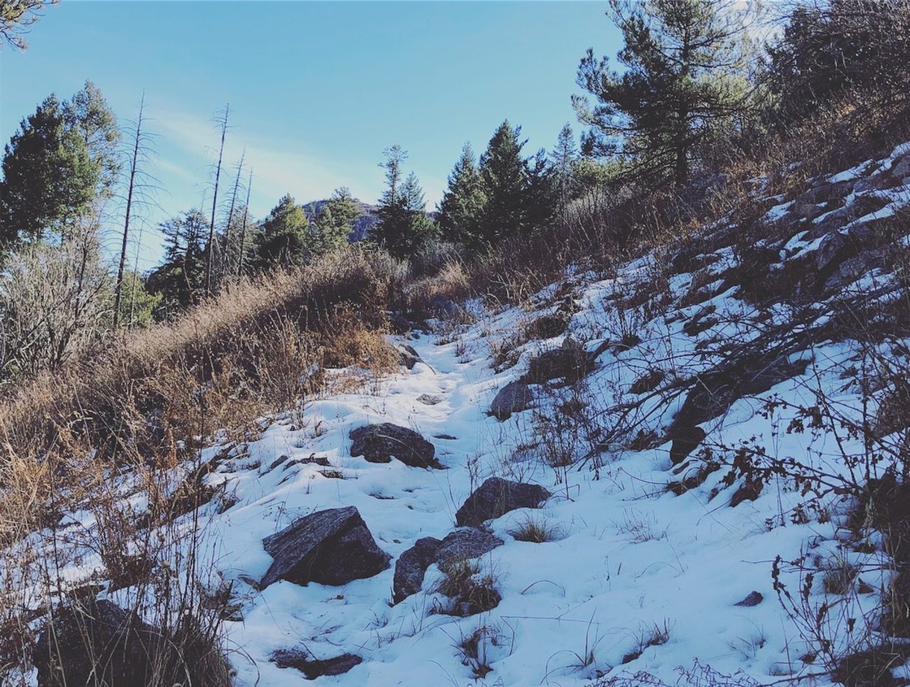 Snow on the Arizona Crest Trail