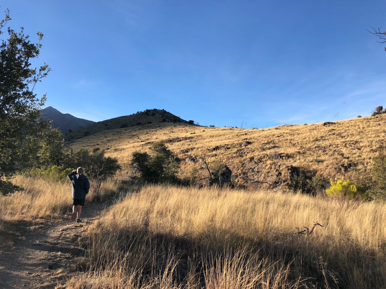 Hiking near Hunter Canyon