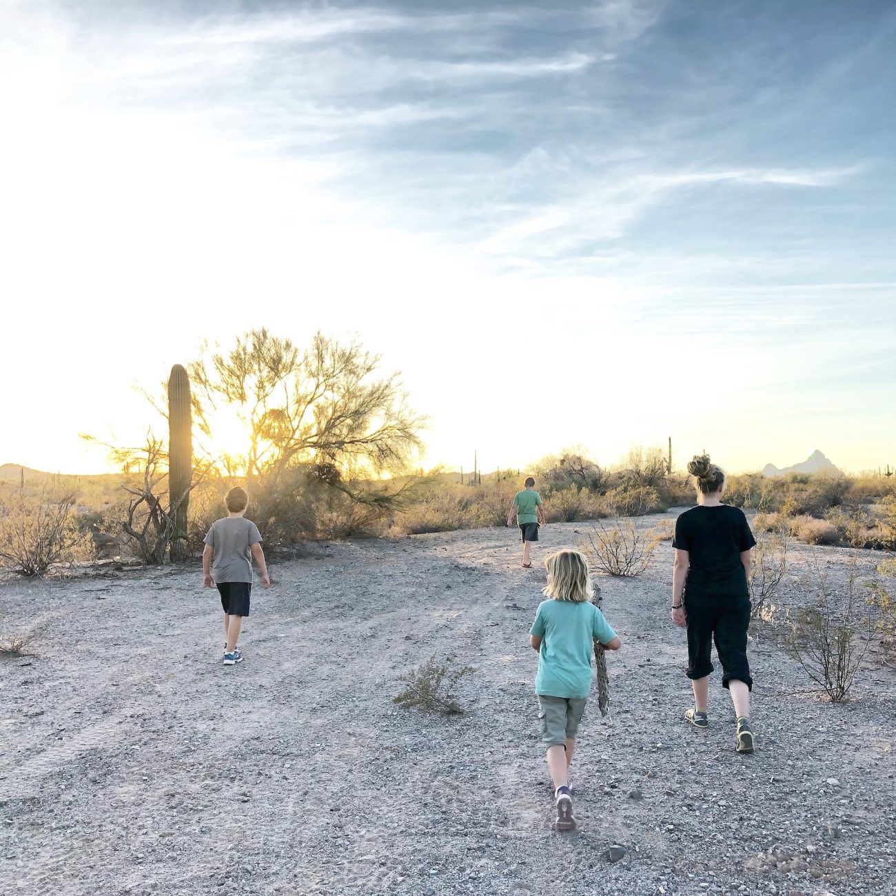 Kids hiking in desert wash near Ajo, AZ.