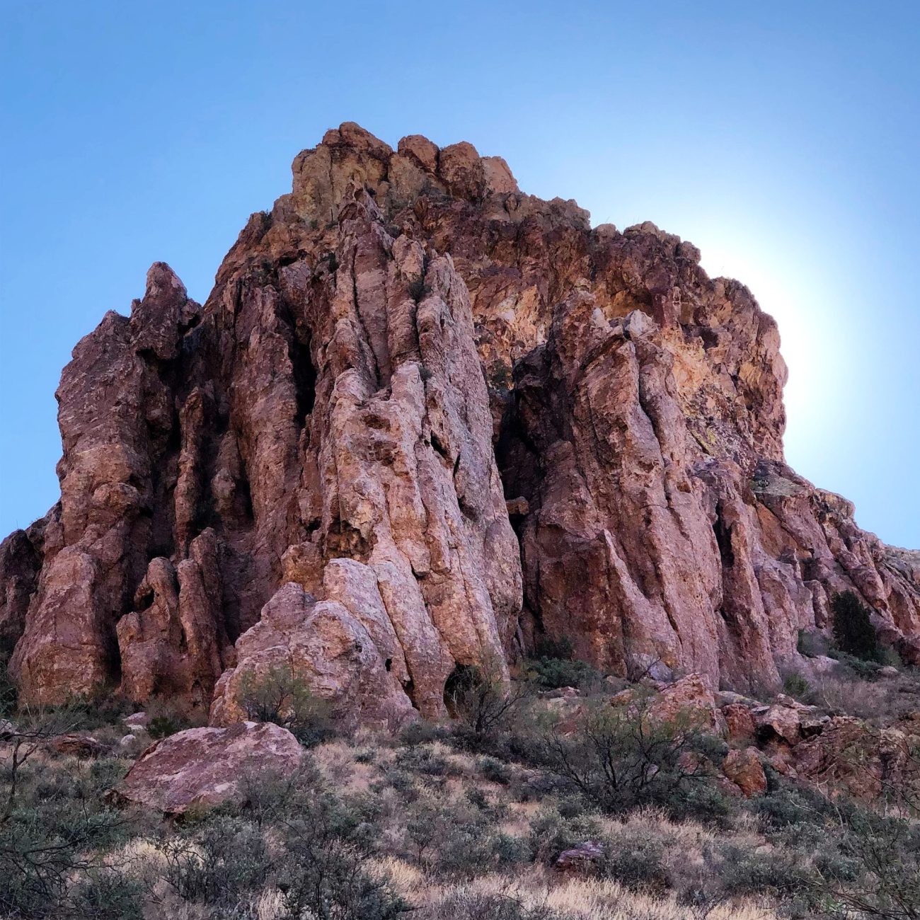 Rock at Organ Pipe Cactus National Monument