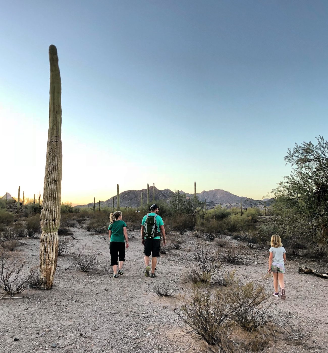 Dad and kids hiking in desert