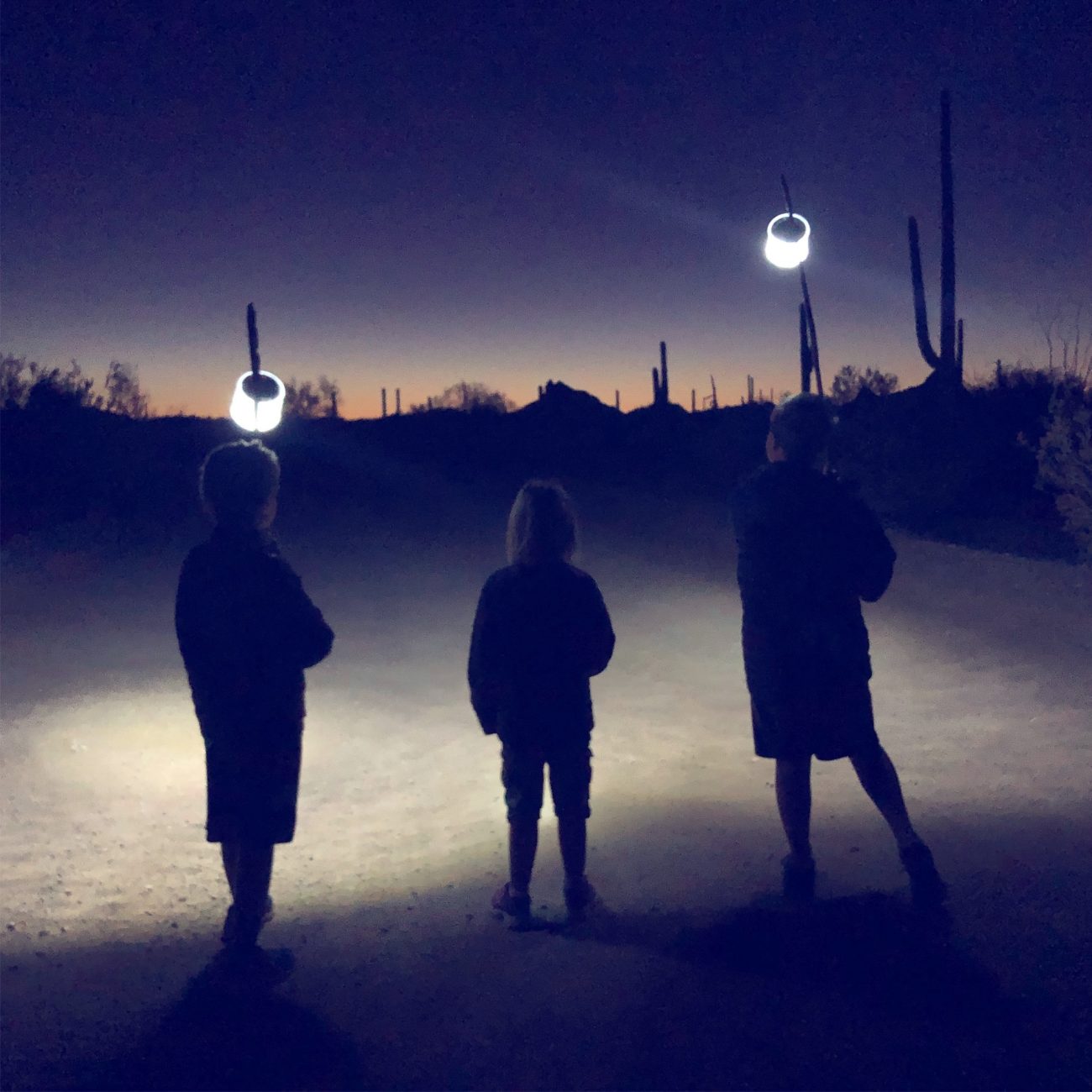 Kids walking with lights at night
