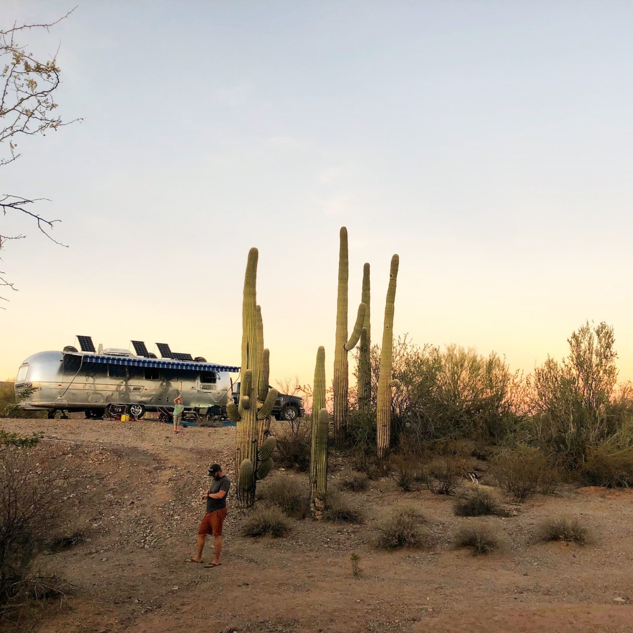 Airstream up on hill at sunset near cactus