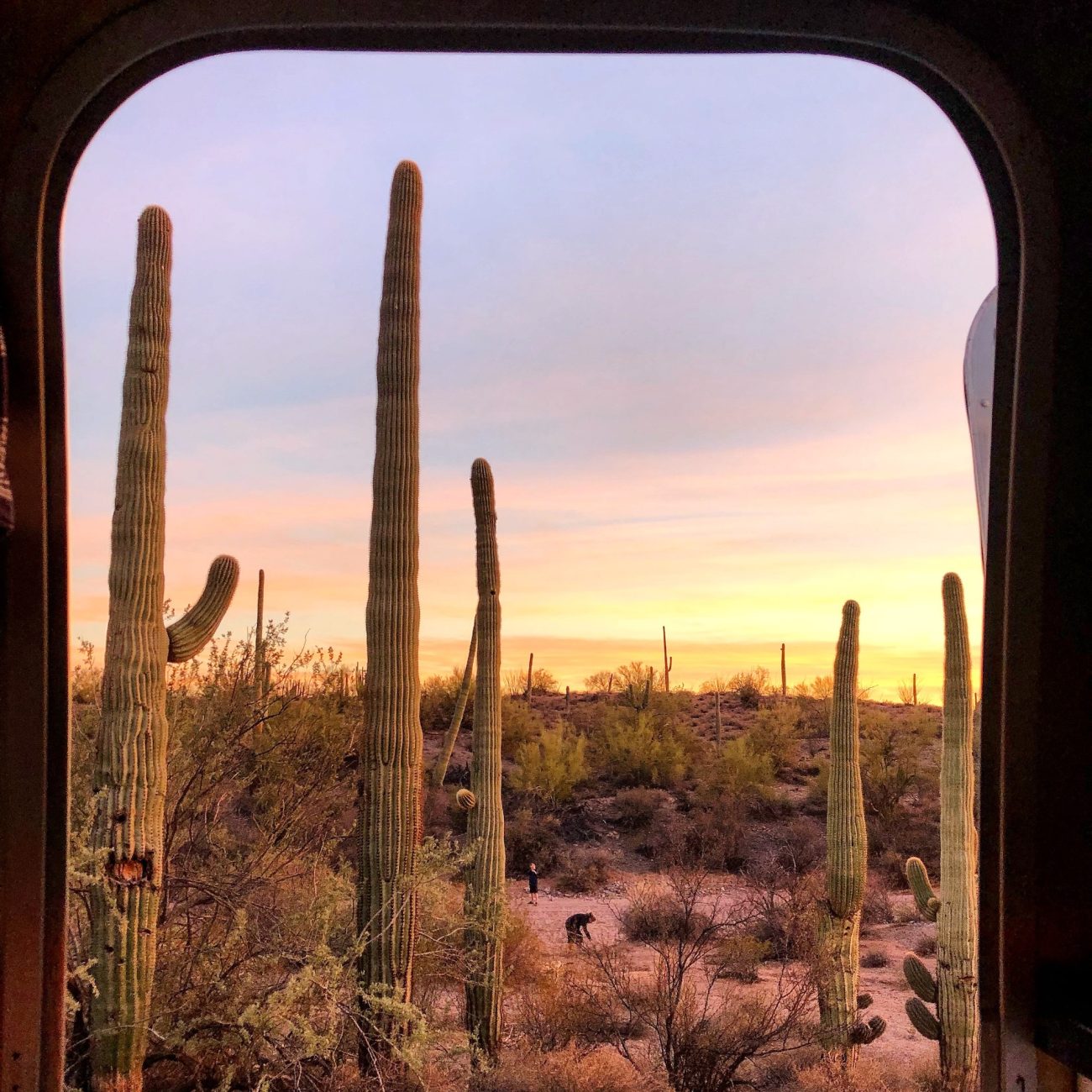 Sunset and cactus out Airstream door