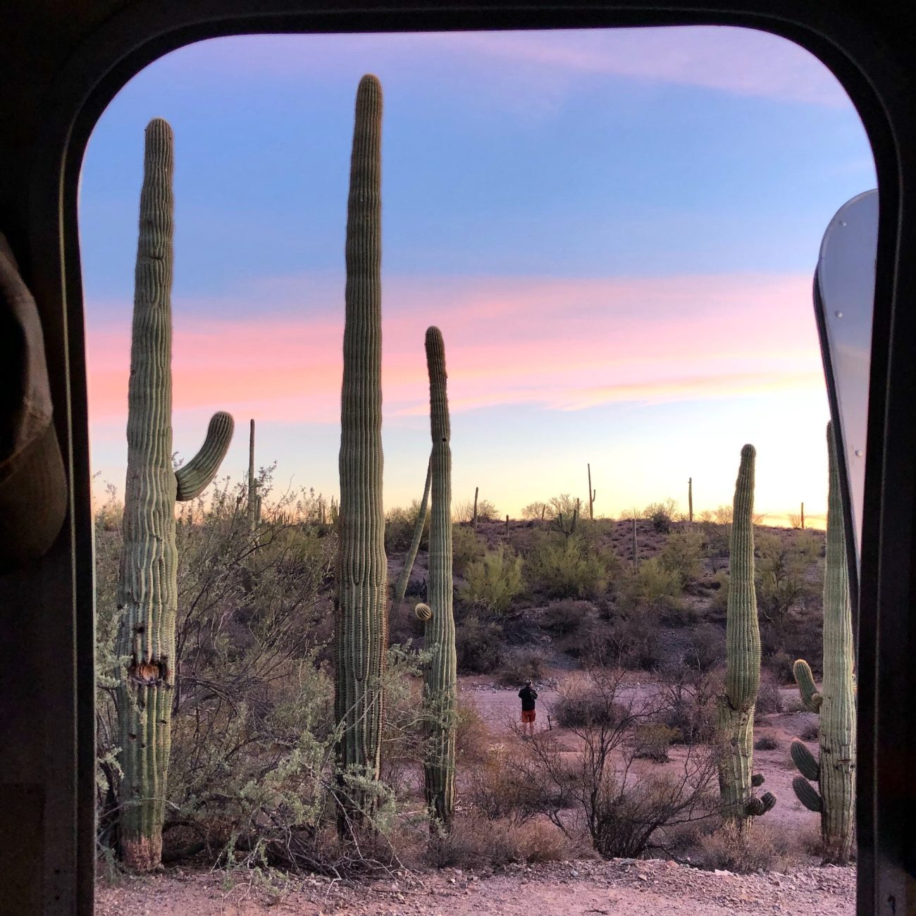Sunset and cactus out Airstream Door