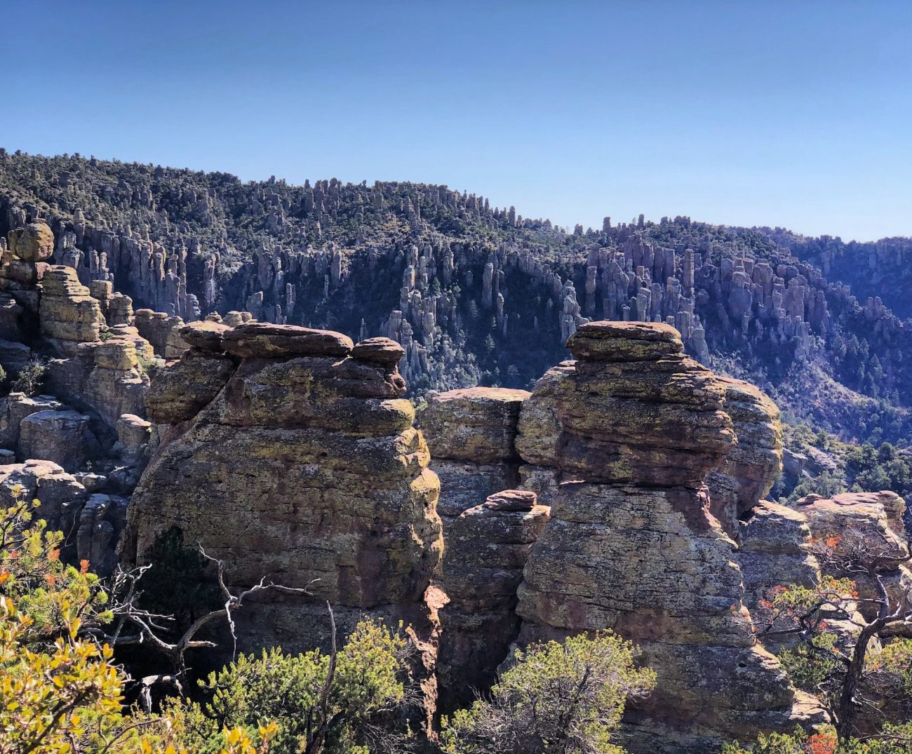 Chiricahua National Monument Views