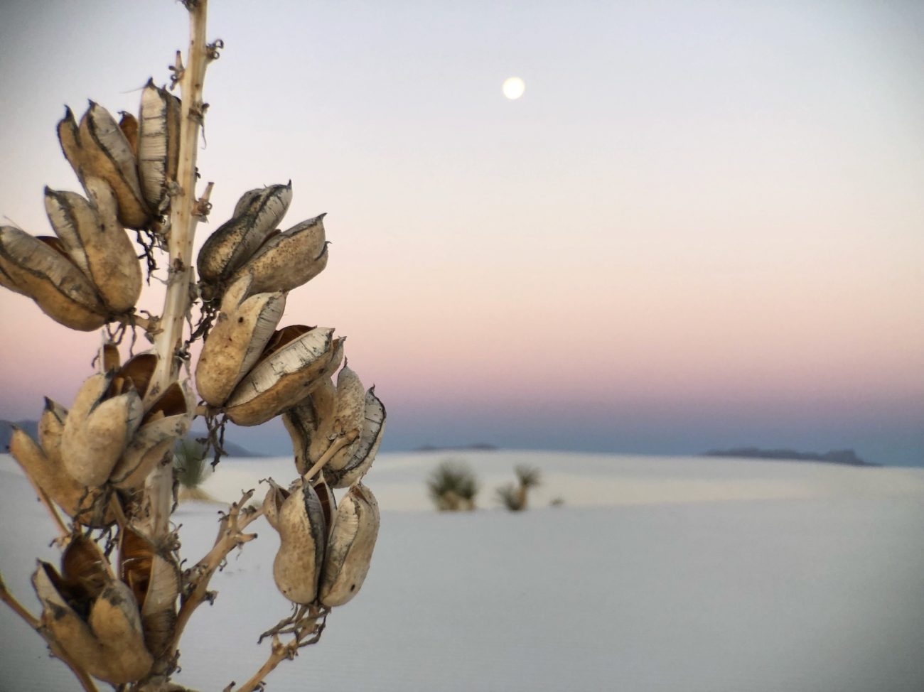 Sunrise at White Sands National Monument