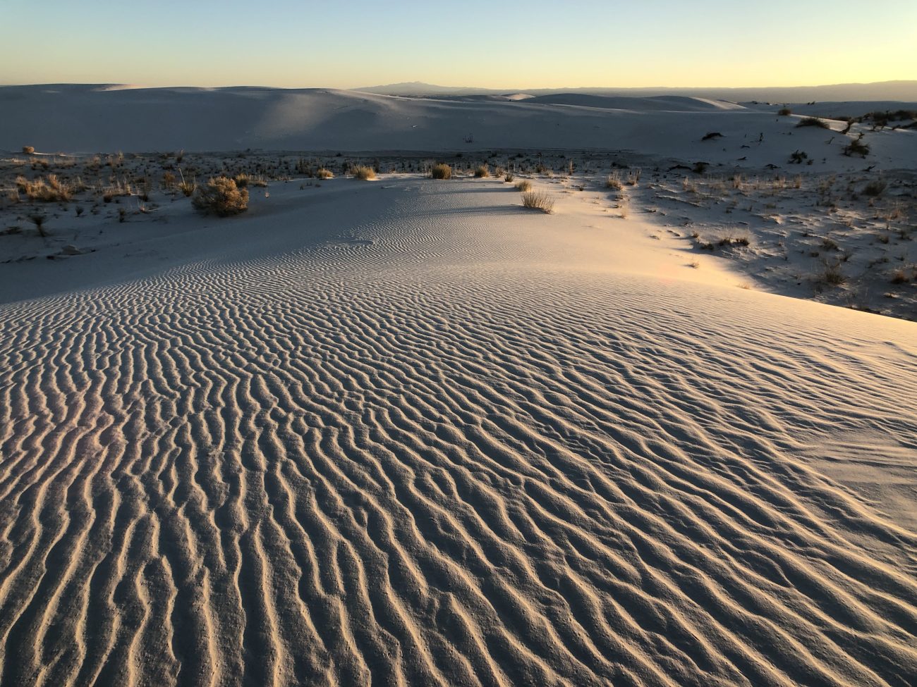 Ripples in the dunes at White Sands