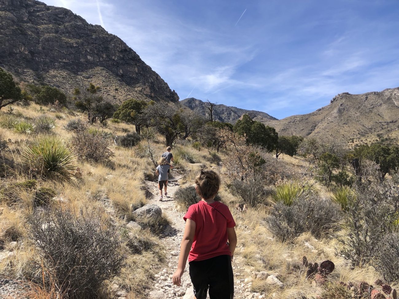 Smith's Springs Trail at GMNP