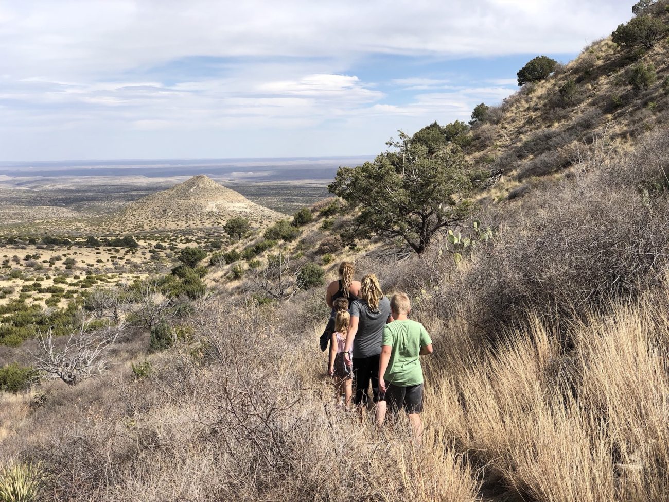 Smith Springs Trail at GMNP