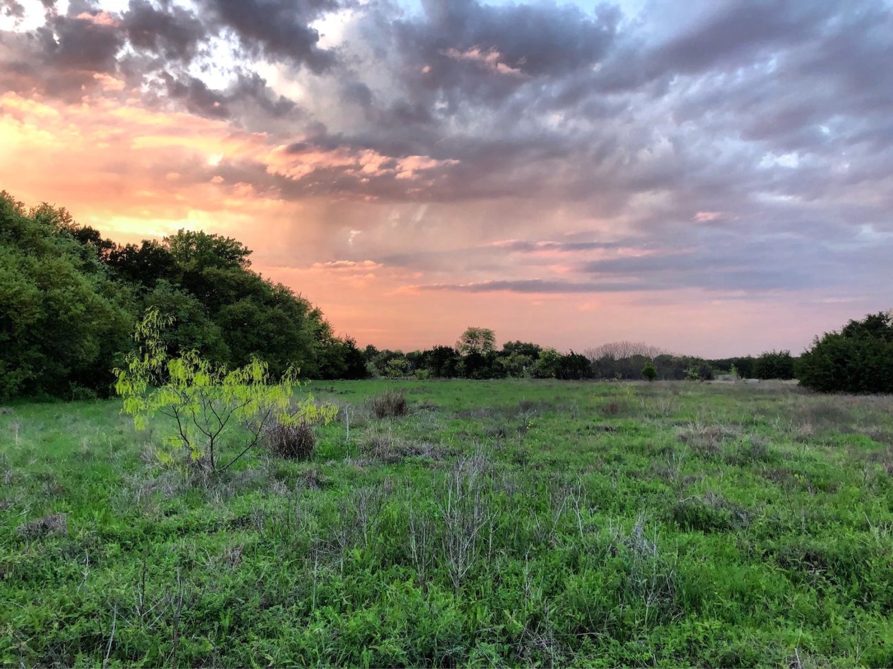 Mother Neff State Park at Sunset