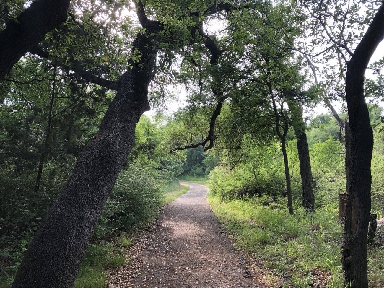 Hiking at McKinney Falls State Park