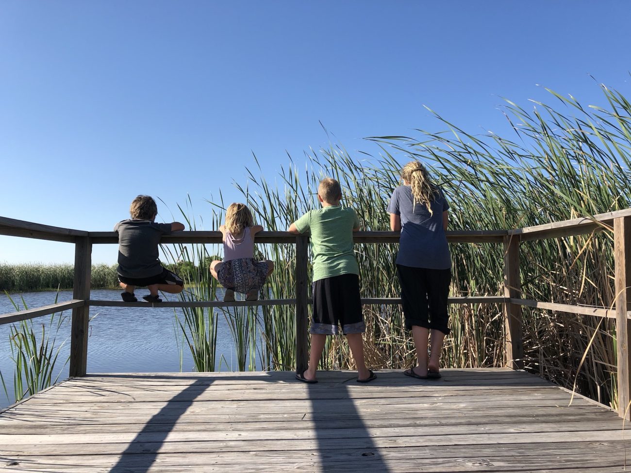 Kids overlooking pond