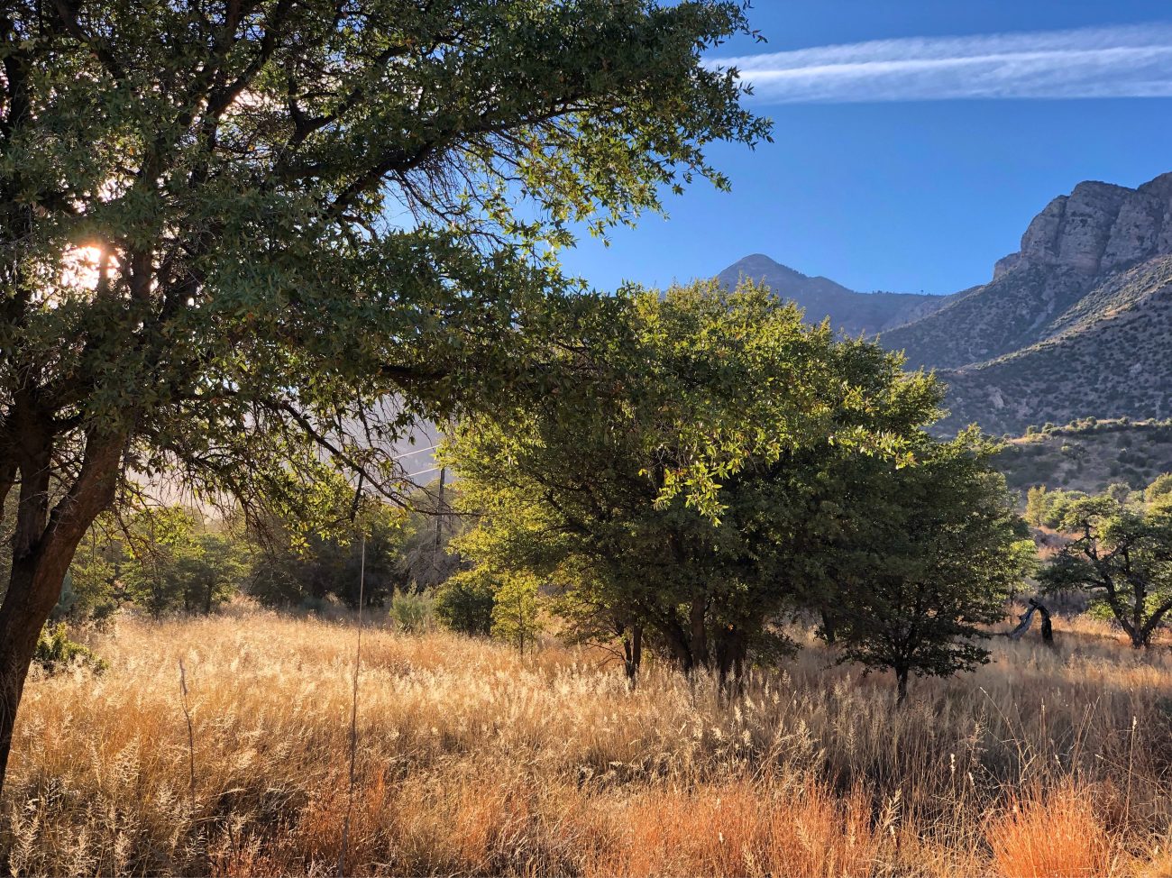 Sierra Vista Sunset Field Mountain