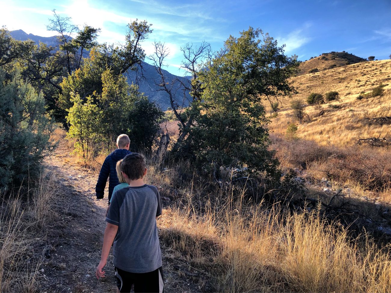 Kids Hike Sierra Vista Wash