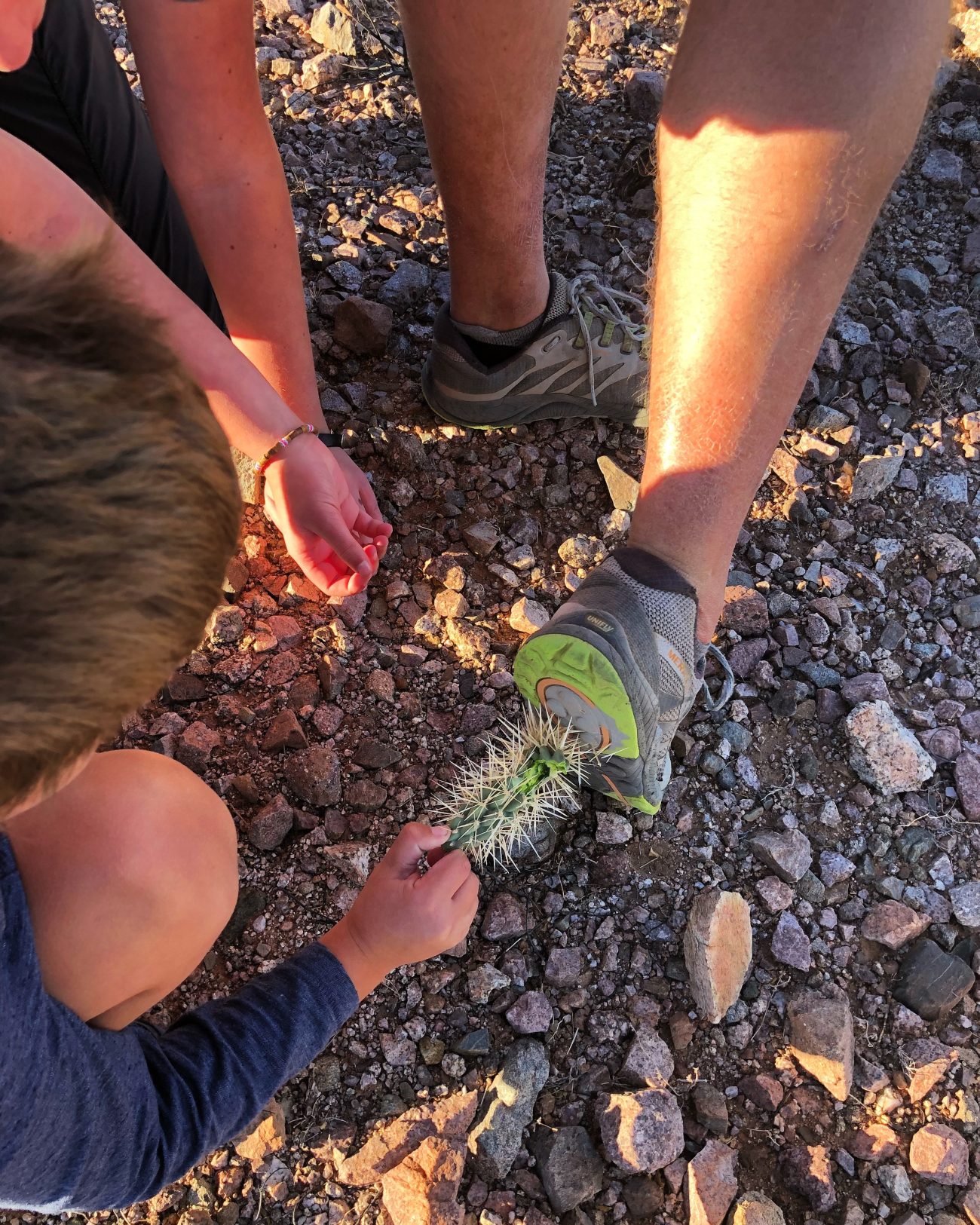 Ajo Spines Shoe