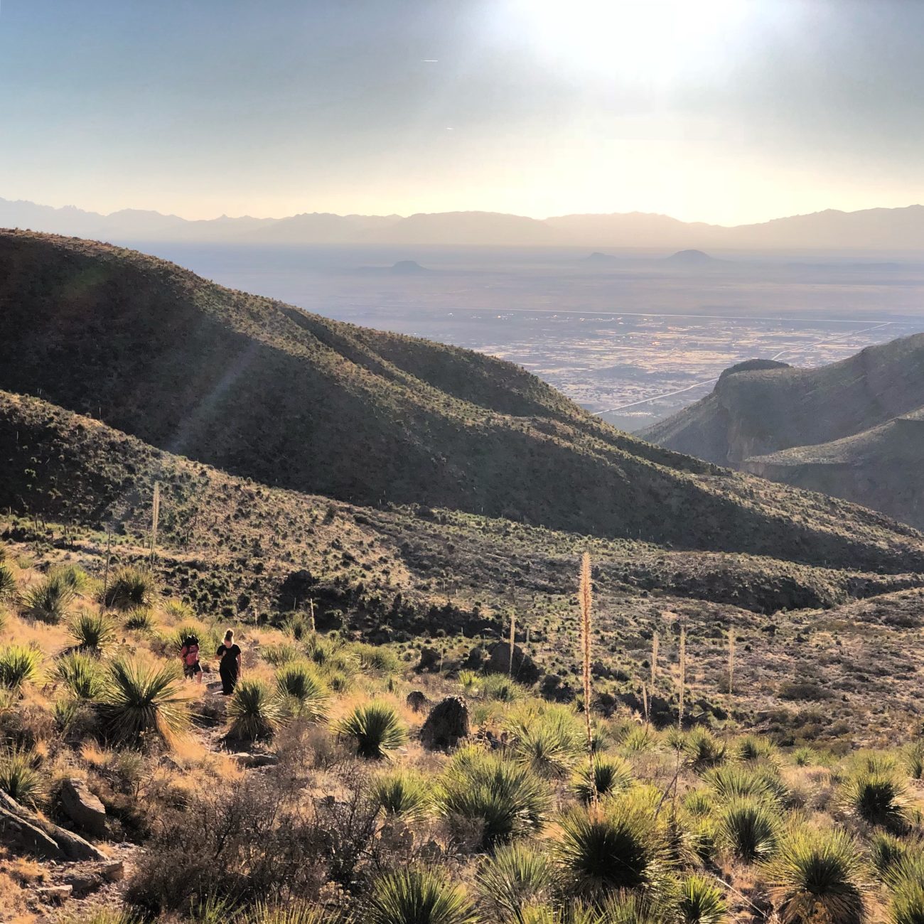 Dog Canyon1