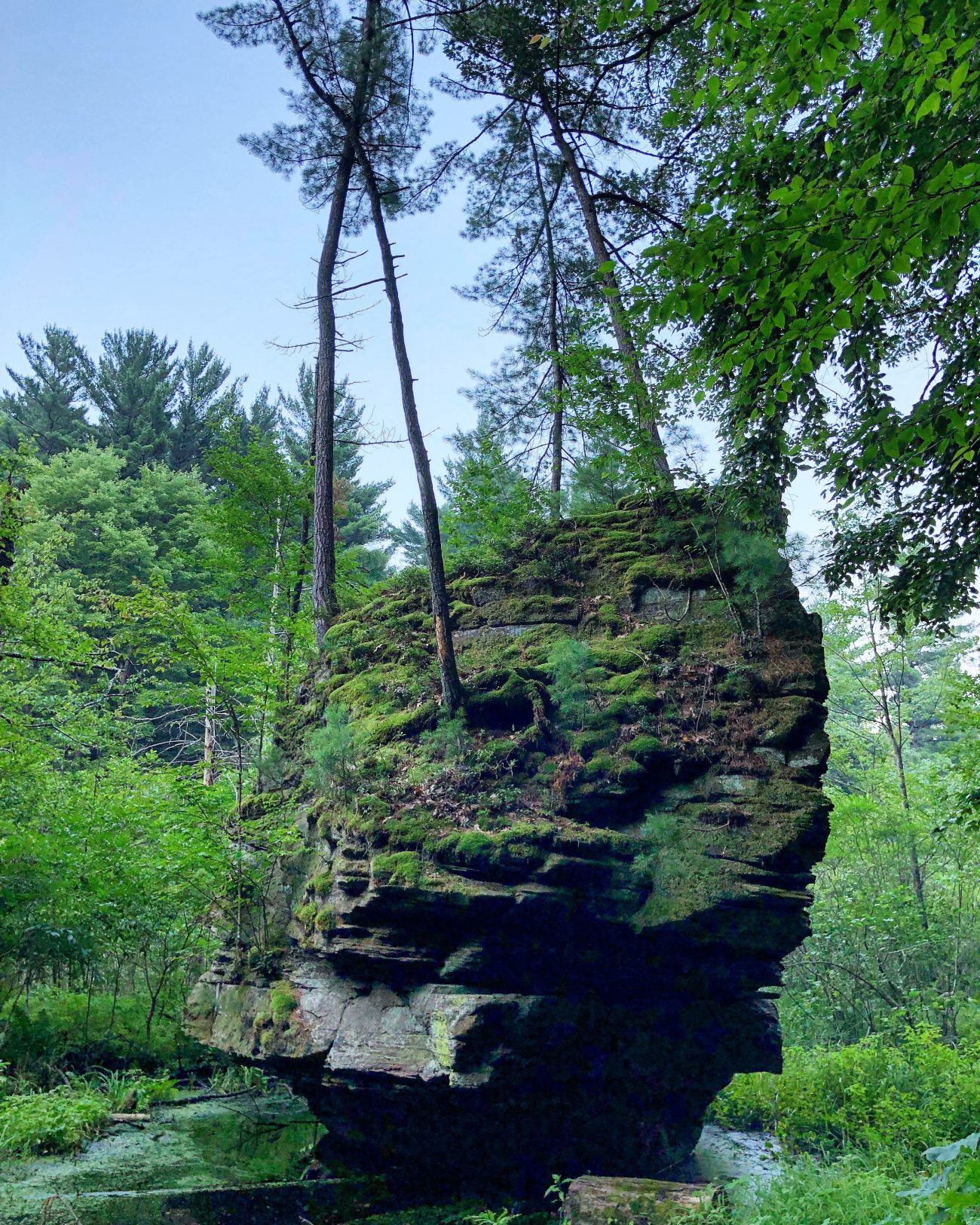 Rocky Arbor Tree Boulder