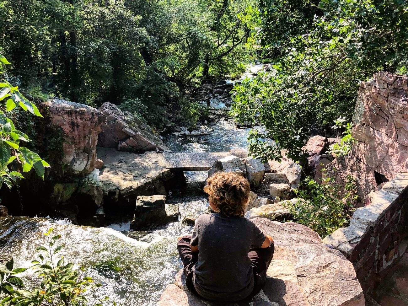 Pipestone Jax