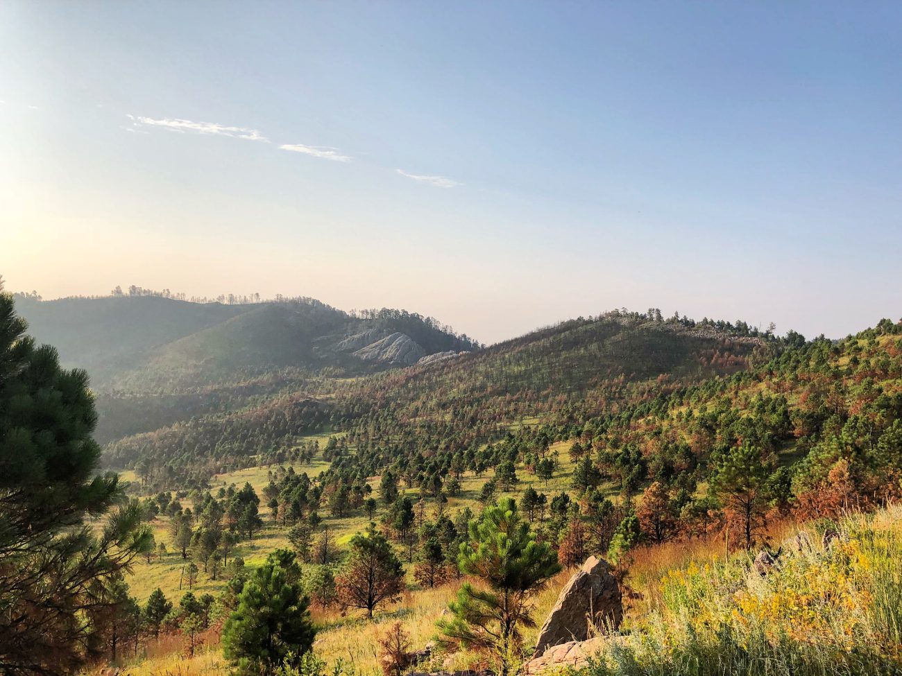 Custer Sunrise
